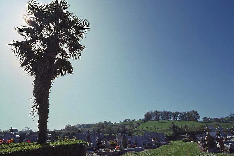 WT 2500 314-35 France 92.jpg